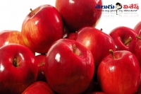 Apple fruit nutrients health benefits body diseases