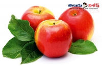 Apple fruits health benefits home remedies