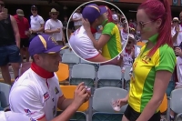 England supporter proposes to australian fan during ashes test at the gabba