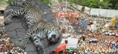 Cheetah died in a road accident in tirumala ghat