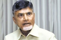 Tdp dreams of comming into power in 2019 elections comes true