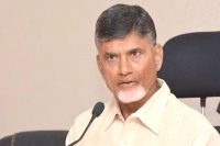 Ap cm approves foster designs for assembly and high court