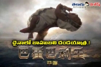 Bahubali movie in china