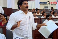 Jaganmohanreddy fires on chabdrababu naidu