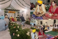 Bhagwant mann s wedding live updates punjab cm ties knot with gurpreet kaur