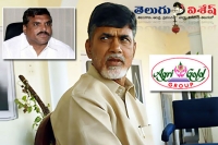 Botsa satyanarayana controversial comments agrigold scam chandrababu naidu