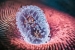 Miracle new virus treatment kills cancer in patient after all other methods failed