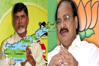 Ap special status bubble burst in parliament