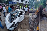 Chennai bank branch manager dies after huge tree falls on her car in kk nagar