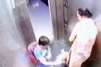 Ghaziabad woman fined rs 5 000 after pet dog bites child in lift