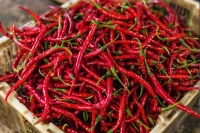 Eating chilli peppers four times a week reduces risk of death from heart attack