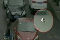Miraculous escape for 2 year old survives after being run over by 2 cars