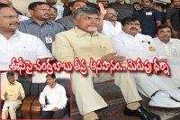 Andhra cm chandrababu naidu holds dharna in front of ceo office