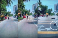 Woman falls from bike after basketball sized coconut drops on her head
