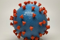 Covid 19 reinfections rare natural immunity lasts for months pune study