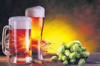 Craft beer is the new healthy alternative drink in india