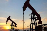 Oil producers mulling options after brent crude price drop