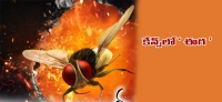 Eega be screened at cannes