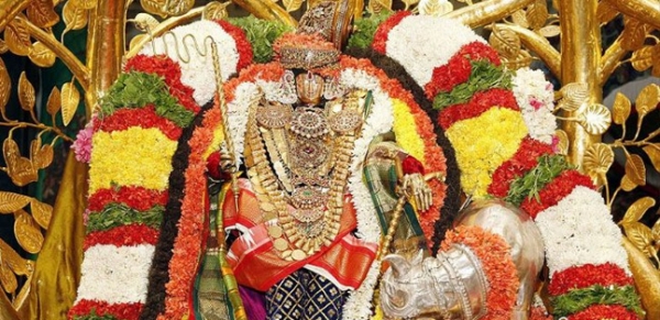 పద్మావతి అమ్మవారి బ్రహ్మోత్సవాలు