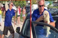 Ontario pedestrians rescue dog locked in car during 30 degree heat