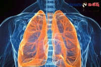 Healthy foods for lung health removes respiratory diseases