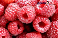 Skin care tips red raspberry oil carrot seed oil home remedies