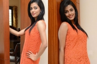 Anisha ambrose not feel over gopala gopala movie role