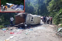 Eight dead after tourist bus falls into tribal area valley in andhra pradesh