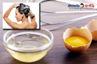 Egg hair pack remedies to get rid of hair problems home remedies beauty tips