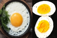 Eating one egg per day may help lower risk of heart disease study suggests