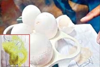 Egg white turns into plastic powder officials conduct tests