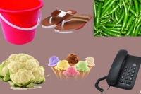 Bihar polls green chilli ice cream cauliflower are election symbols