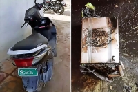 Electric scooty s battery explodes during charing in qutbullahpur
