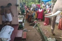 Heartwarming video of elephant bidding farewell to mahout who died of cancer