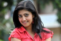 Pranitha denies rumours on trivikram allu arjun combination movie