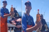 A fisherman finds an unopened whiskey bottle in a fish s stomach
