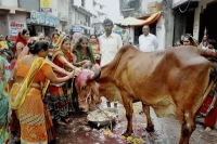 Coming soon govt certified gau rakshaks in haryana and uttarakhand