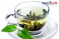 Green tea keeps brain active everytime health tips remedies