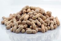 Groundnuts health benefits heart attack ovairy problems uterus pain diabetes