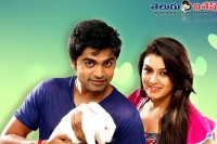 Hansika supports to simbu vaalu film