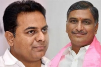 I and harish will compete only in one aspect says ktr