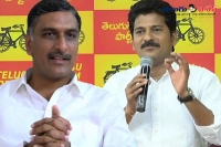 Revanth reddy controversial interview about harish rao