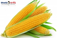 Corn health benefits home remedies healthy food items