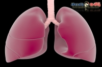 Best foods for healthy lungs home remedies