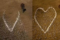 Australian farmer pays tribute to beloved aunt with heart shaped sheep