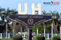 University of hyderabad professor posts govt jobs notifications