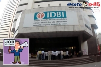 Idbi bank notification recruitment executive vacancies