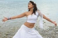 Goa beauty ileana to do item song in balakrishna dictator movie