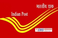 India post recruitment 2022 apply for 24 posts of staff car driver on indiapost gov in