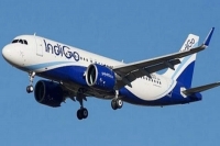Indigo asked to compensate passengers who found cockroach on pune delhi flight